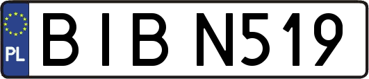 BIBN519