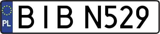 BIBN529