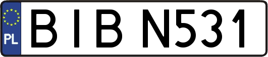 BIBN531