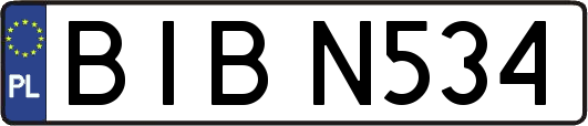 BIBN534
