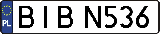 BIBN536