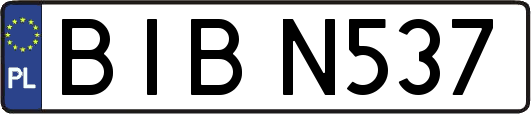 BIBN537