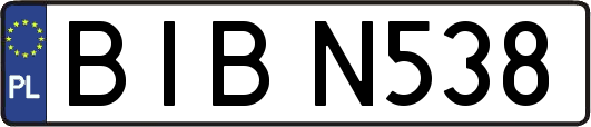 BIBN538