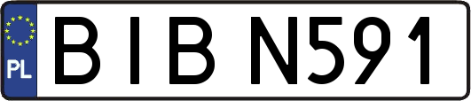 BIBN591