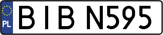 BIBN595