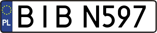 BIBN597
