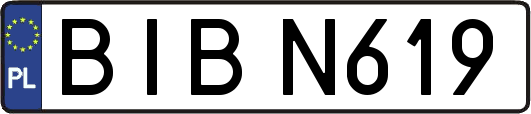 BIBN619