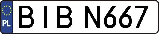 BIBN667