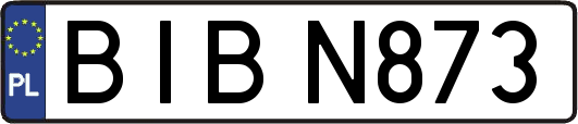 BIBN873