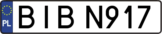 BIBN917