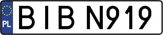 BIBN919