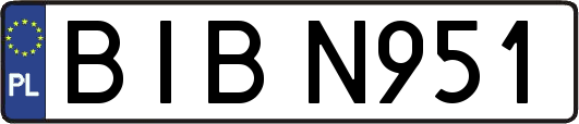 BIBN951