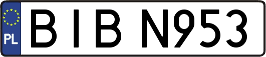 BIBN953