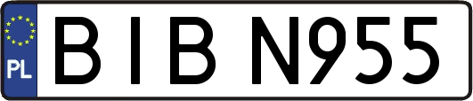 BIBN955