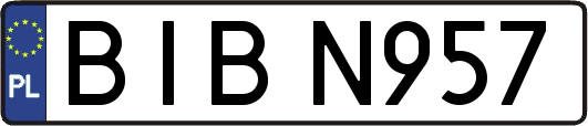 BIBN957