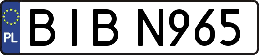BIBN965