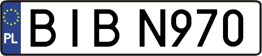 BIBN970