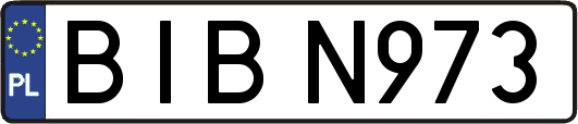 BIBN973