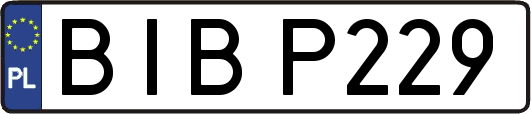 BIBP229