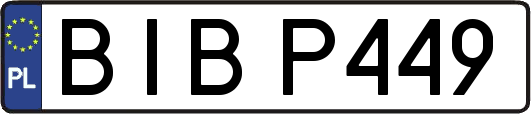 BIBP449