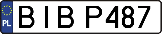 BIBP487