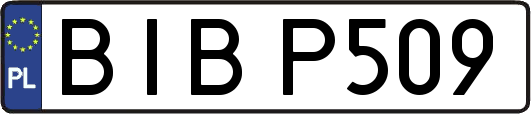 BIBP509