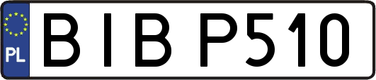 BIBP510