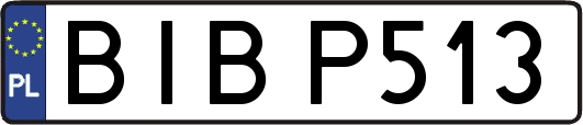 BIBP513