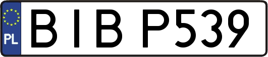 BIBP539