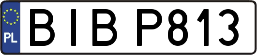BIBP813