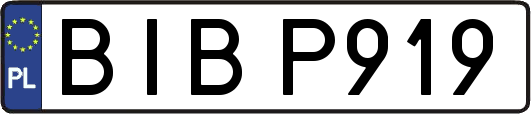 BIBP919