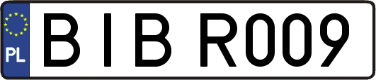 BIBR009