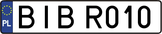 BIBR010