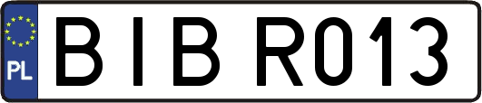 BIBR013