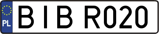BIBR020