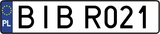 BIBR021