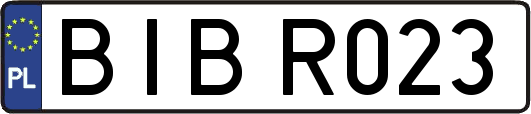 BIBR023