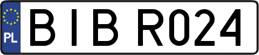 BIBR024