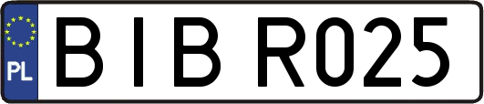 BIBR025