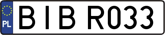 BIBR033
