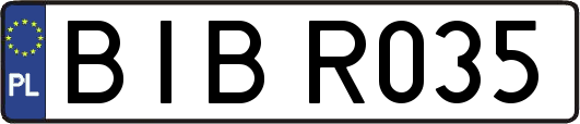 BIBR035