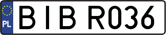 BIBR036