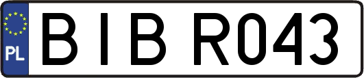 BIBR043