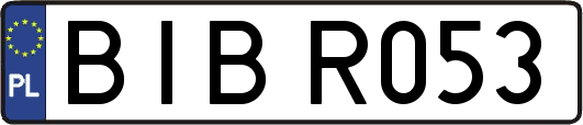 BIBR053