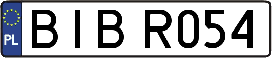 BIBR054