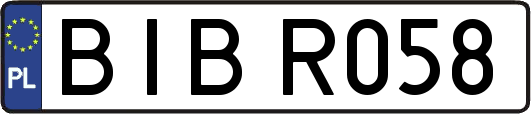 BIBR058