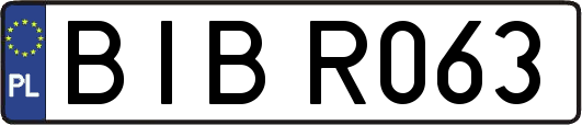 BIBR063