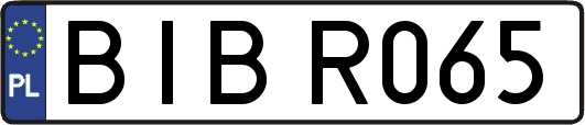 BIBR065