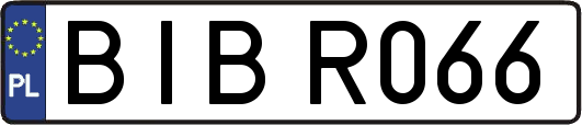 BIBR066