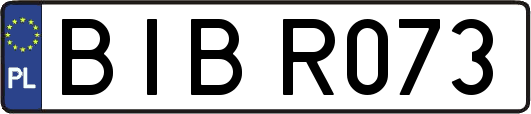 BIBR073